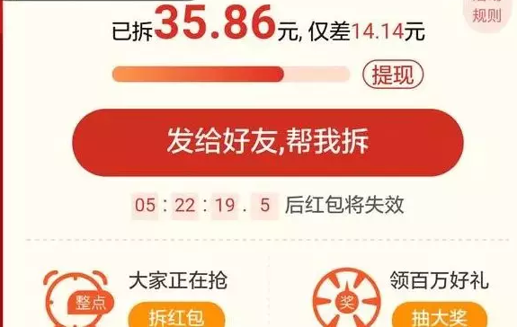 项目