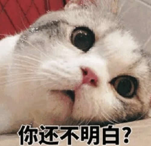 打造个人品牌需要这三步 个人ip真的很重要