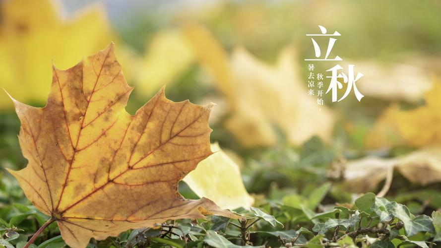 立秋吃什么