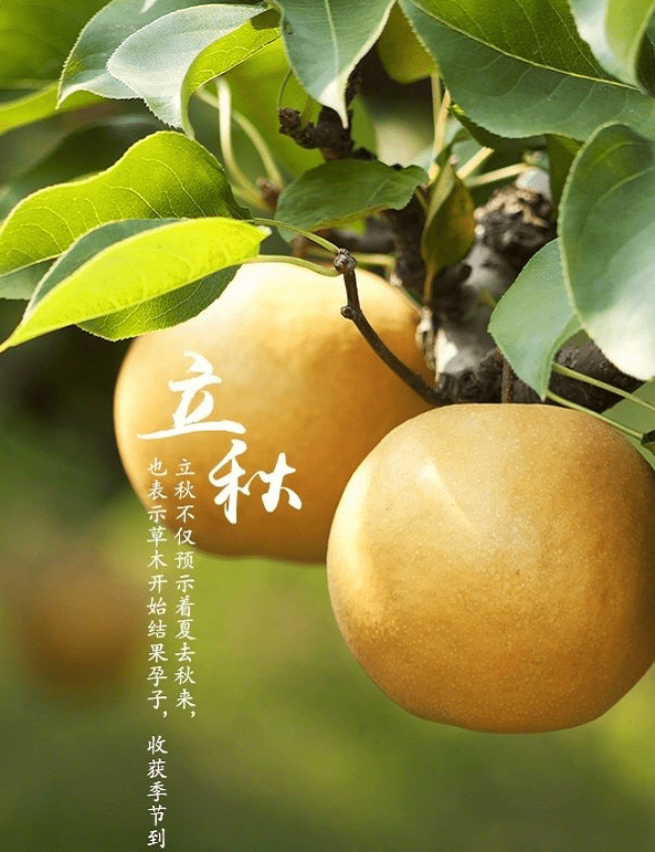 立秋吃什么