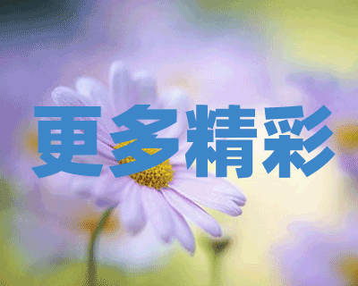 华镇电子：领跑智能时代的语音识别芯片先锋